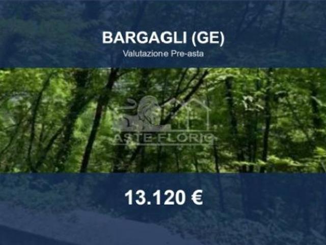 Terreno in vendita a Bargagli, Liguria