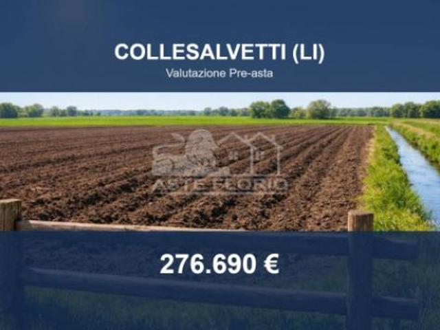 Terreno in vendita a Collesalvetti, Toscana