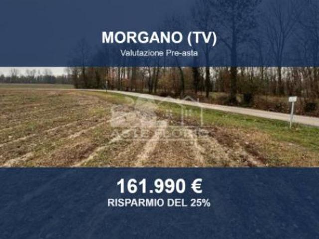 Terreno in vendita a Morgano