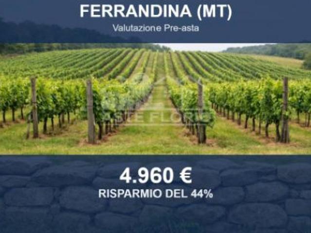 Terreno in vendita a Ferrandina, Basilicata