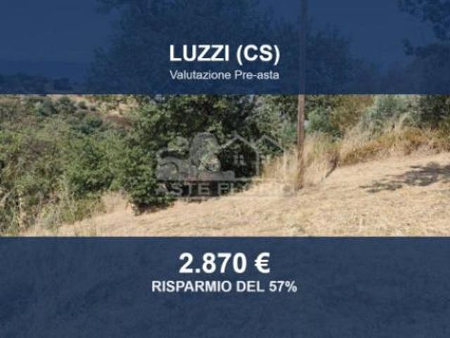 Terreno in vendita a Calabria, Cosenza