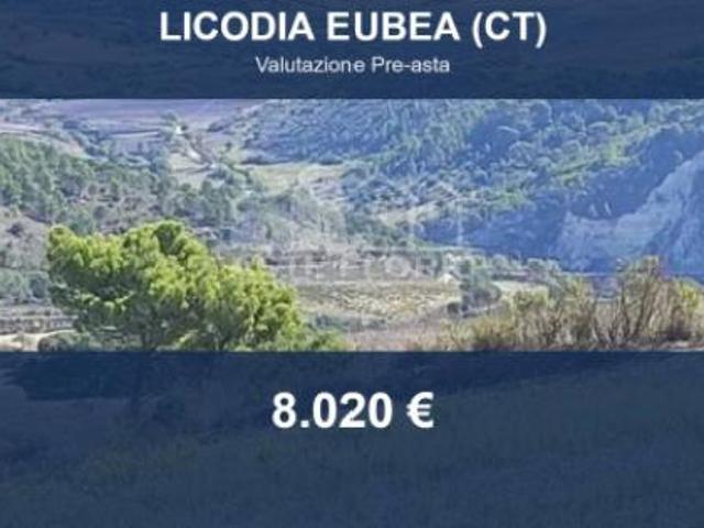 Terreno in vendita a Licodia Eubea, Sicilia