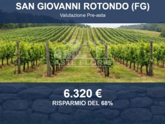 Terreno in vendita a Puglia, Foggia