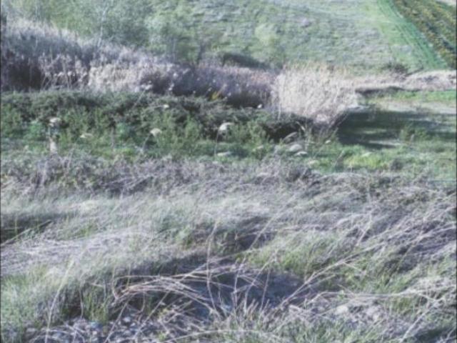 Terreno in vendita a Montalbano Jonico, Basilicata