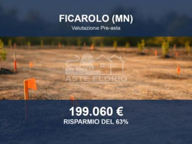 Terreno in vendita a Ficarolo, Veneto