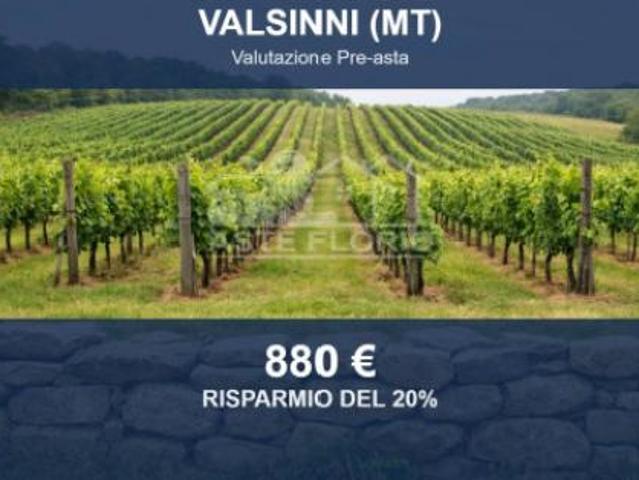 Terreno in vendita a Valsinni, Basilicata