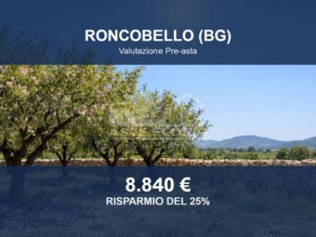 Terreno in vendita a Comunità Montana della Valle Brembana, Roncobello