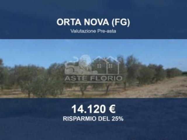 Terreno in vendita a Puglia, Foggia