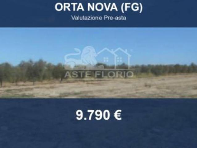 Terreno in vendita a Puglia, Foggia
