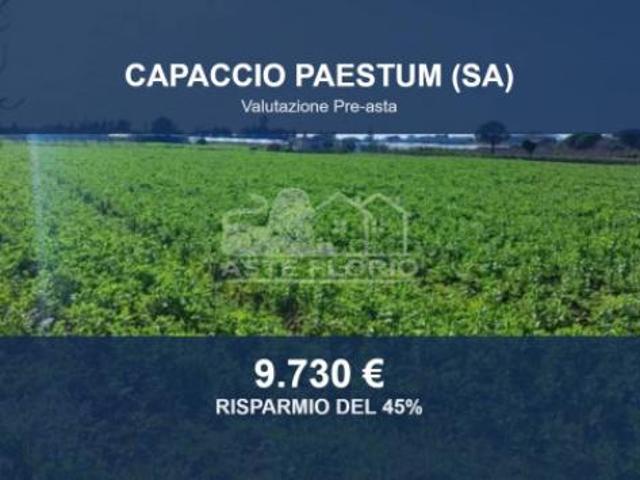 Terreno in vendita a Capaccio Paestum, Salerno