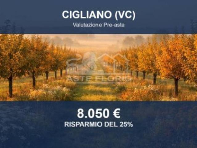 Terreno in vendita a Cigliano, Vercelli