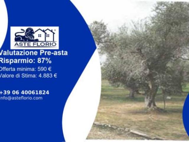 Terreno in vendita a Puglia, Lecce