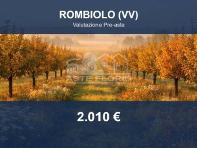 Terreno in vendita a Rombiolo, Vibo Valentia