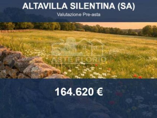 Terreno in vendita a Altavilla Silentina, Campania