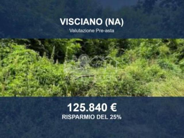 Terreno in vendita a Visciano, Campania