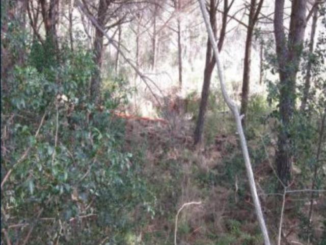 Terreno in vendita a Monte Argentario, Pozzarello