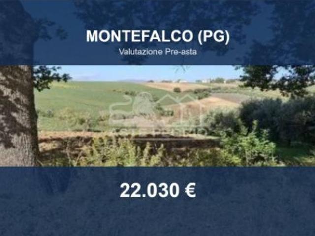Terreno in vendita a Montefalco, Umbria