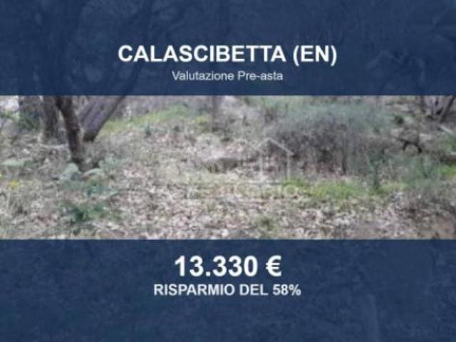 Terreno in vendita a Calascibetta, Sicilia