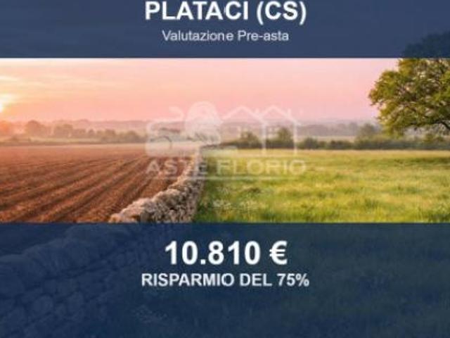 Terreno in vendita a Calabria, Cosenza