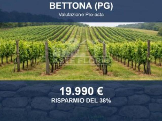 Terreno in vendita a Bettona, Umbria