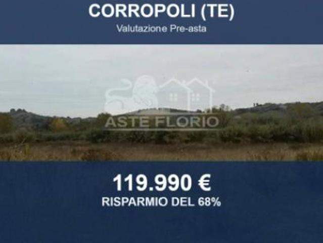 Terreno in vendita a Unione dei Comuni della Val Vibrata, Corropoli
