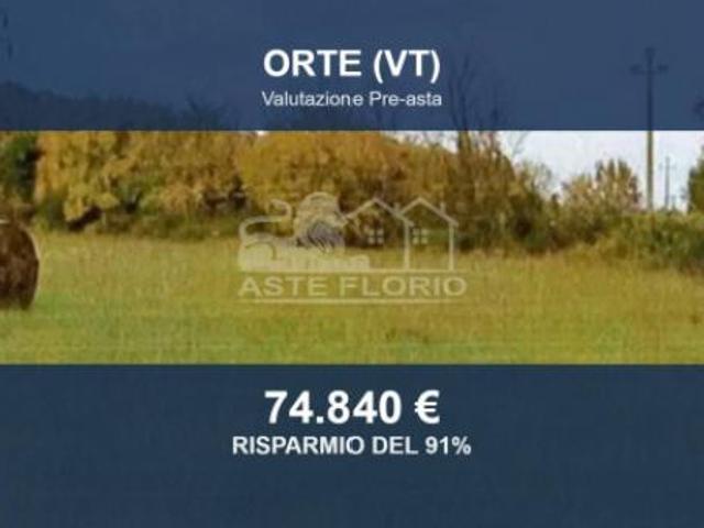 Terreno in vendita a Orte, Lazio
