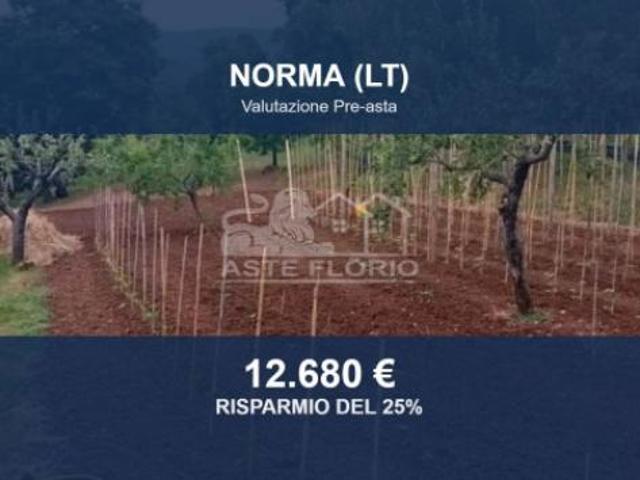 Terreno in vendita a Norma, Lazio