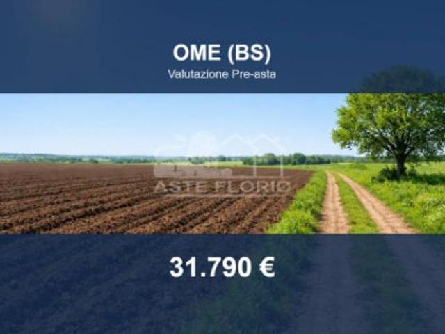 Terreno in vendita a Comunità montana del Sebino bresciano, Ome