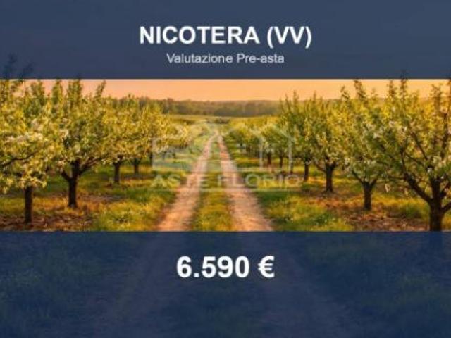 Terreno in vendita a Calabria, Vibo Valentia