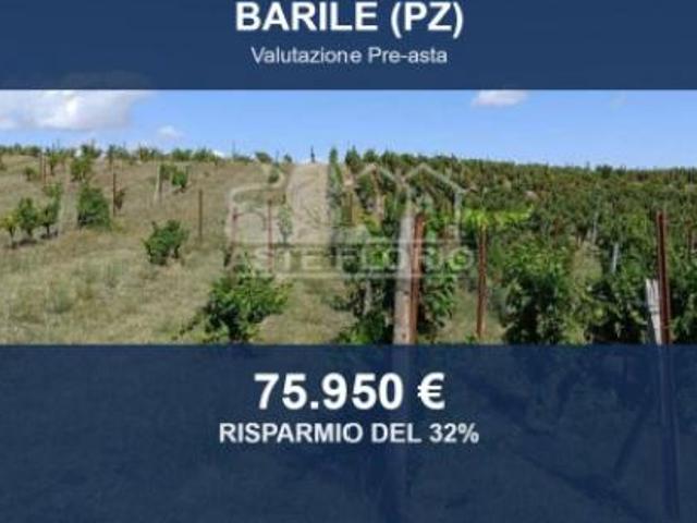Terreno in vendita a Barile, Basilicata
