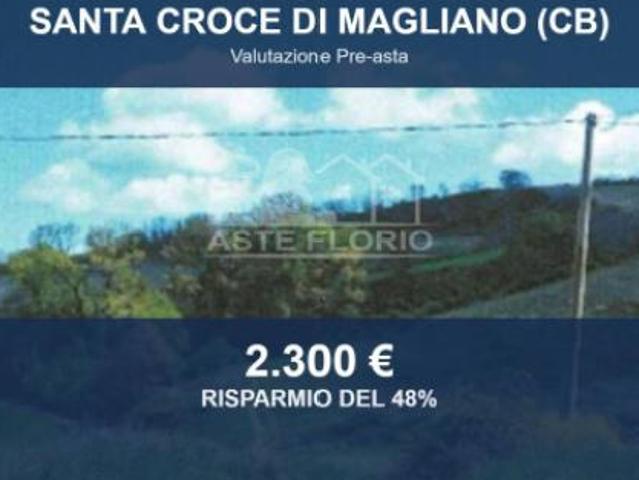Terreno in vendita a Santa Croce Di Magliano, Molise