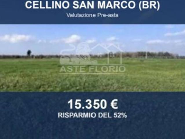 Terreno in vendita a Puglia, Brindisi