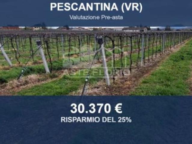 Terreno in vendita a Pescantina, Verona