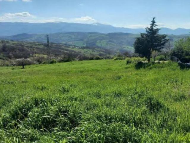 Terreno in vendita a Casalciprano, Molise