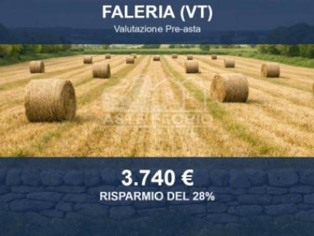 Terreno in vendita a Faleria, Viterbo