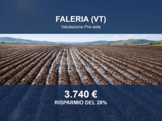 Terreno in vendita a Faleria, Viterbo