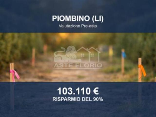 Terreno in vendita a Tolla, Piombino