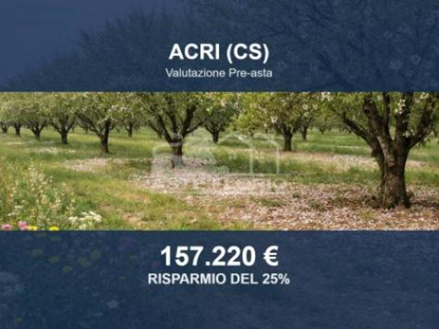 Terreno in vendita a Calabria, Cosenza