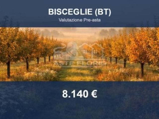 Terreno in vendita a Puglia, Barletta-andria-trani