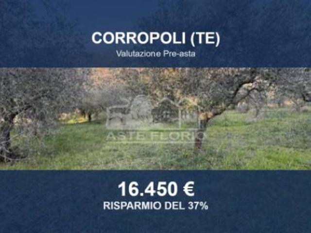 Terreno in vendita a Unione dei Comuni della Val Vibrata, Corropoli