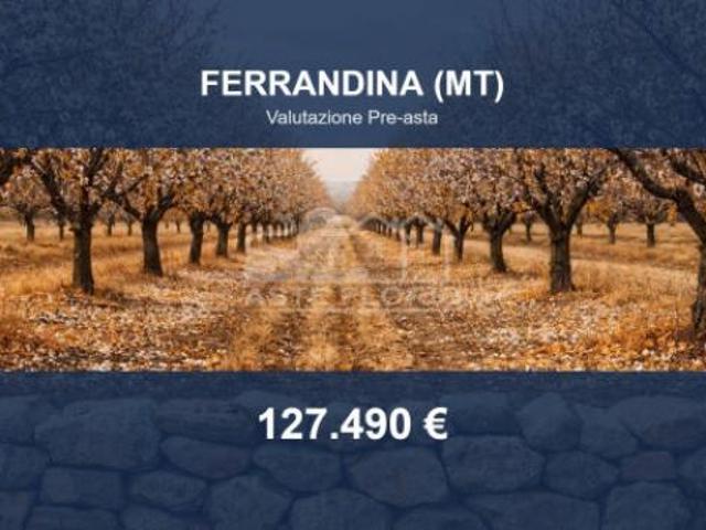 Terreno in vendita a Ferrandina, Basilicata