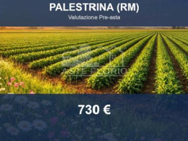 Terreno in vendita a Roma Capitale, Lazio