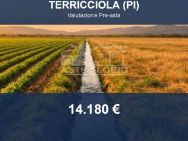 Terreno in vendita a Terricciola, Toscana