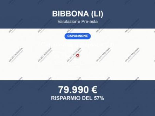 Capannone in vendita a Bibbona, Livorno