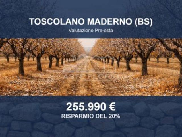 Terreno in vendita a Comunità Montana Parco Alto Garda bresciano, Toscolano Maderno