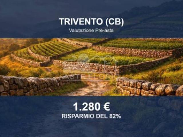 Terreno in vendita a Trivento, Molise