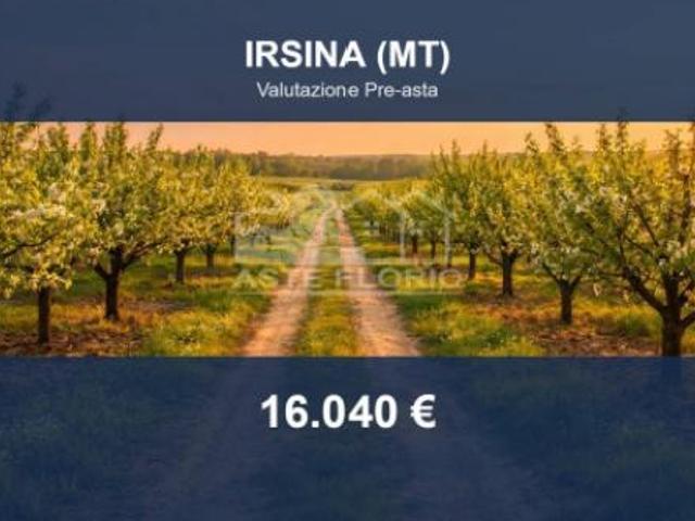 Terreno in vendita a Irsina, Basilicata