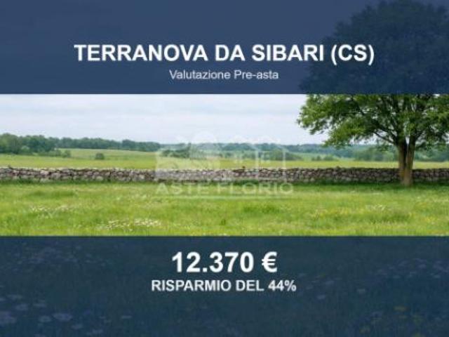 Terreno in vendita a Calabria, Cosenza