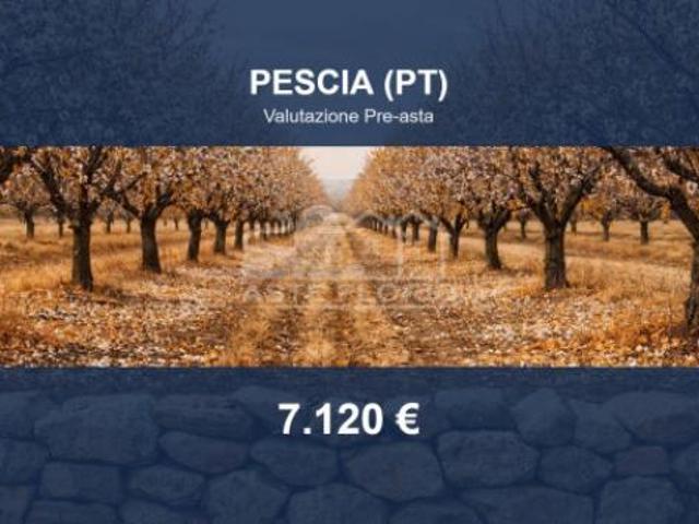 Terreno in vendita a Uzzano E Castello, Toscana