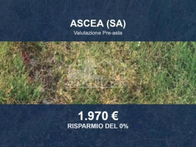 Box in vendita a Ascea, Campania